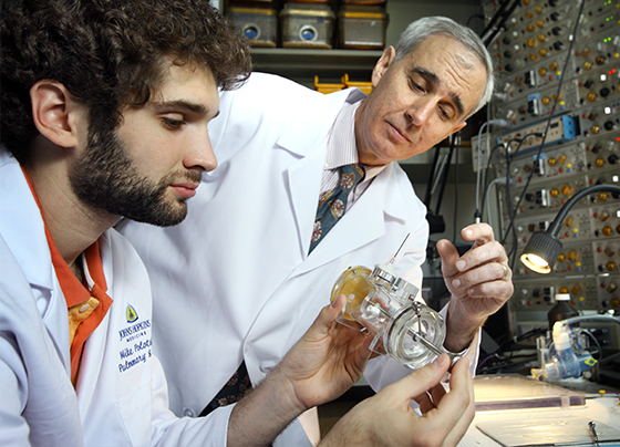 Physicians reviewing an instrument