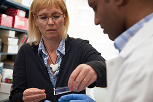 Marikki Laiho, M.D., Ph.D.