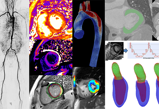 A collage of xrays