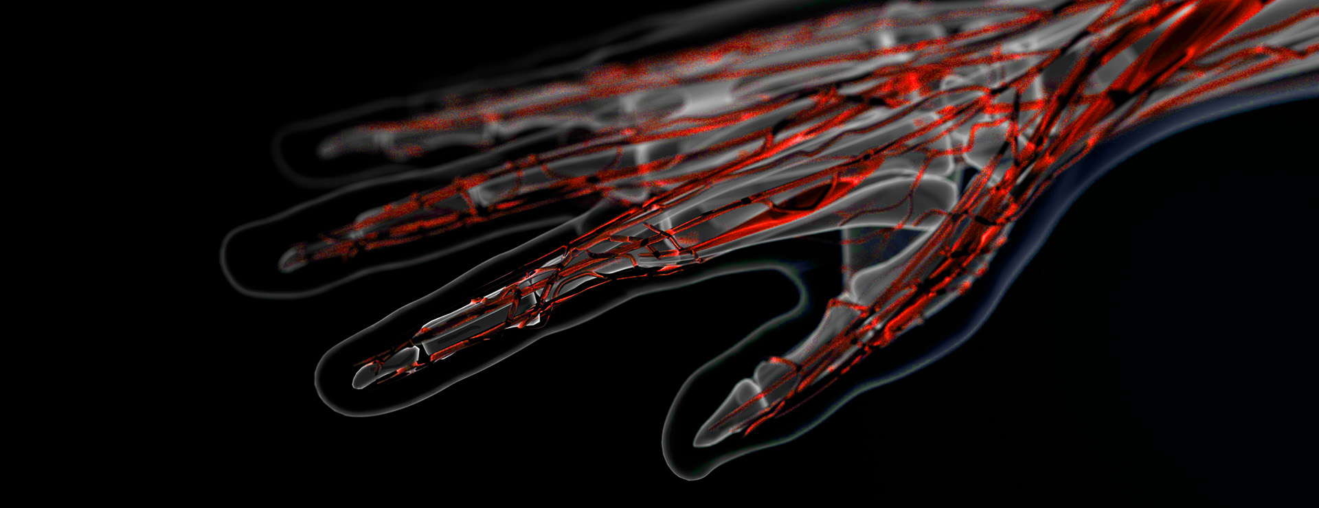 An illustration of veins in the hand