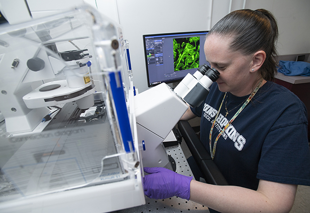 researcher with microscope