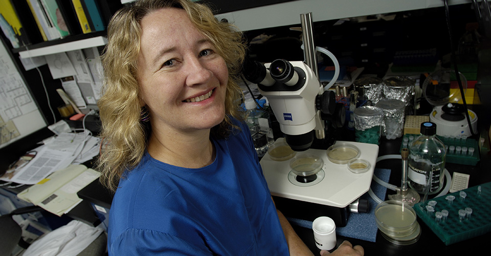Greider pauses for a photo while examing a culture in the lab.