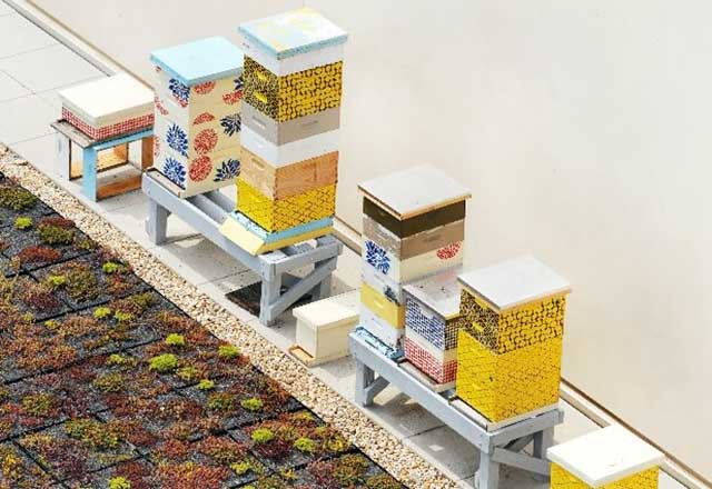 Green Roofing Featured Slide 1