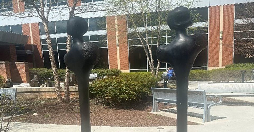 Reflection garden