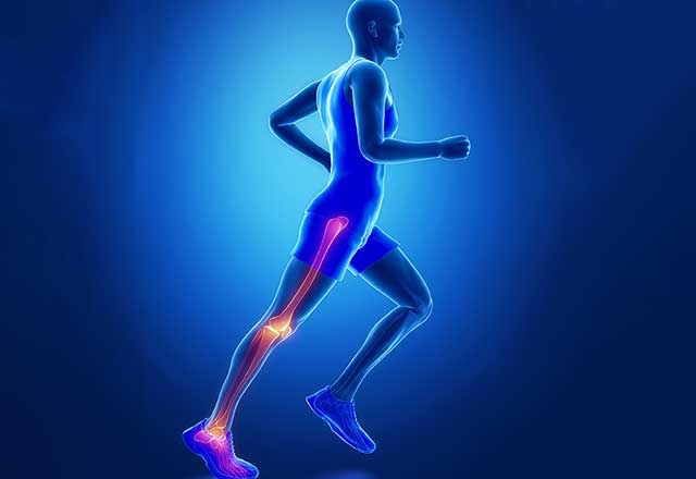 3D illustration of a person running highlighting the bones in the leg.