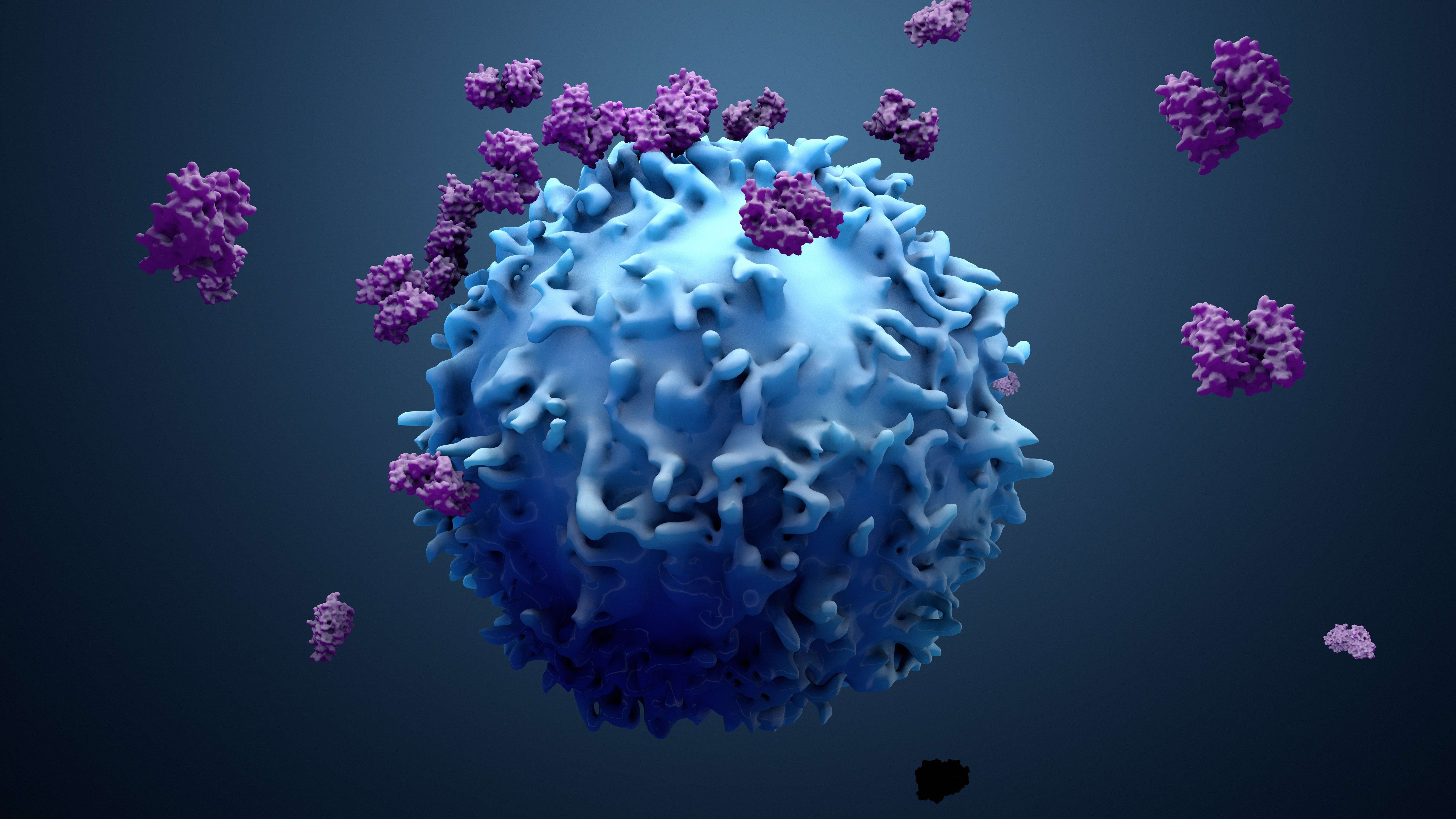 Cancer cells attacking T cells