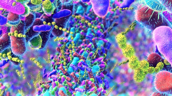 bacteria in human intestine 380