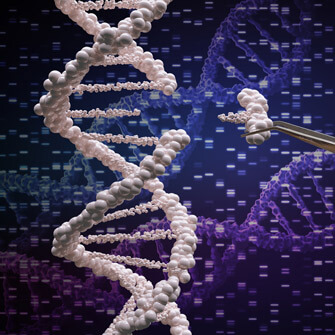 Genetic manipulation and DNA modification concept with graphic of DNA and a snippet being placed in with tweezers.