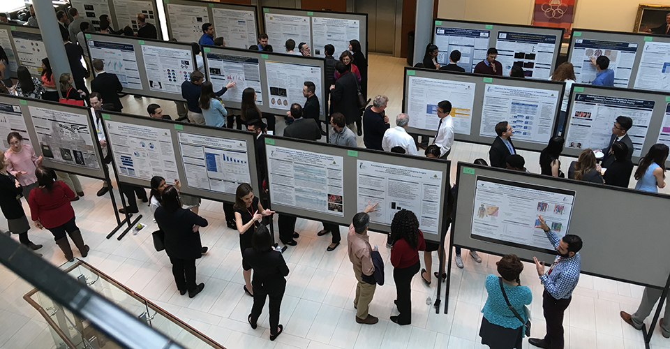 Symposium attendees browse the research posters.