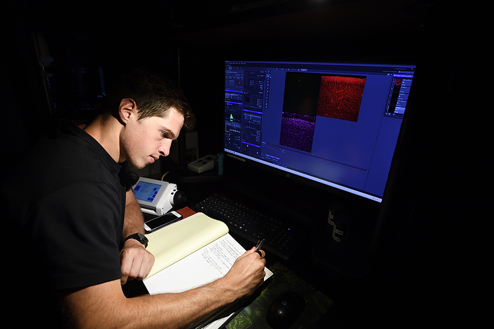 A student writes in a notebook while looking at an imaging scan.