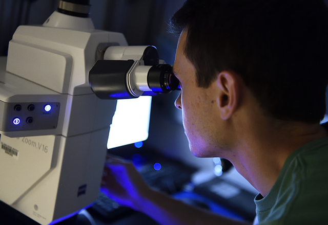 Man looks into medical equipment