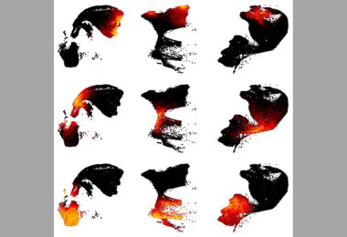 Broad Collaboration Produces High-Resolution Atlas of Developing Human Brain