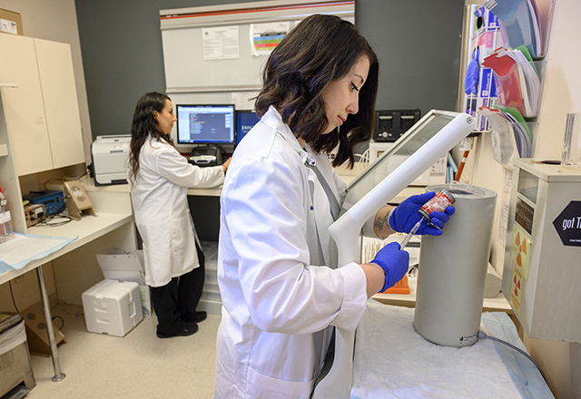 Researchers working on machinery