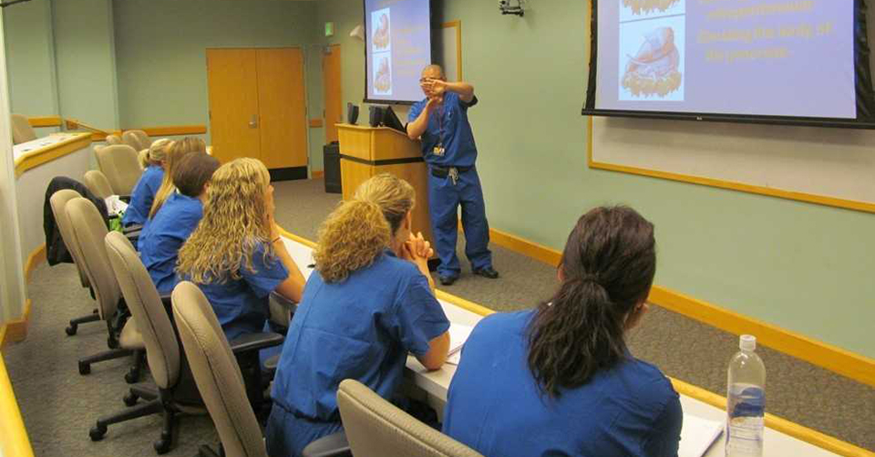 PA Surgical Residency Students watching a presentation