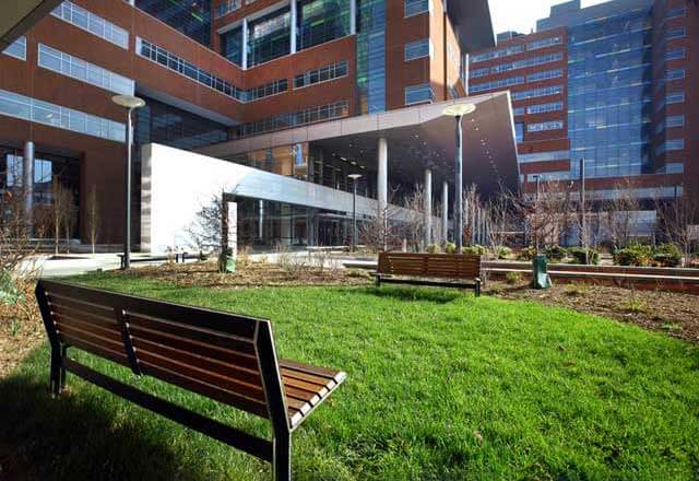 Image of The Milton A. and Harriet F. Laitman Memorial Garden