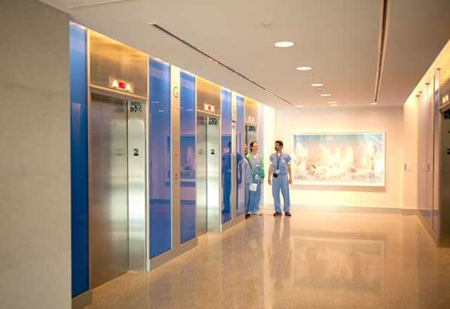 Photo showing the artwork displayed near the elevators of the hospital.