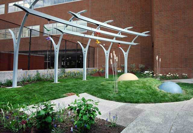 Image of Sara's Garden