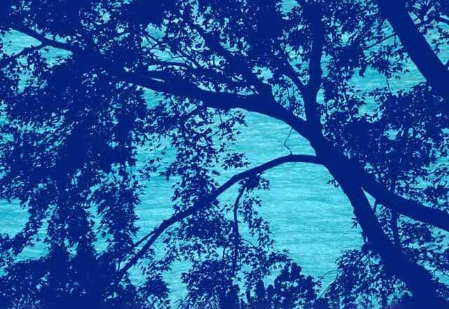 A color print in blue hues depicting trees.