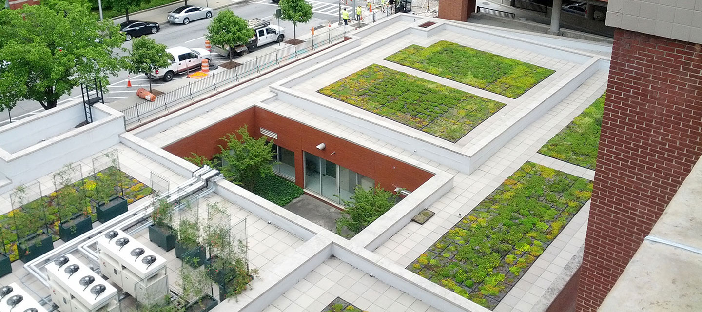 the Johns Hopkins Hospital green roof on the MRI building