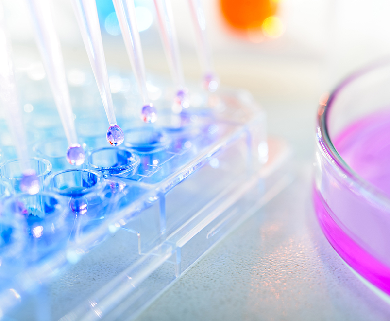 pipettes and petri dish
