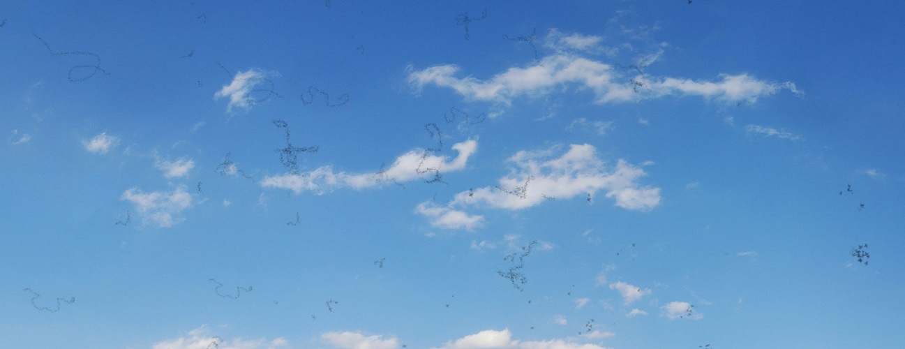 Illustration of eye floaters against a blue sky.