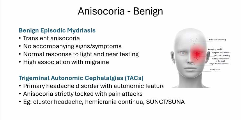 Powerpoint slide describing signs associated with benign anisocoria