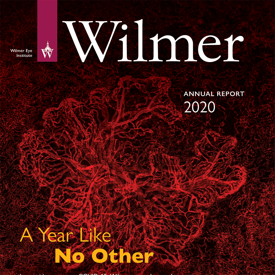 Annual report 2020 showing a bright red medical scan. The headline reads a year like no other