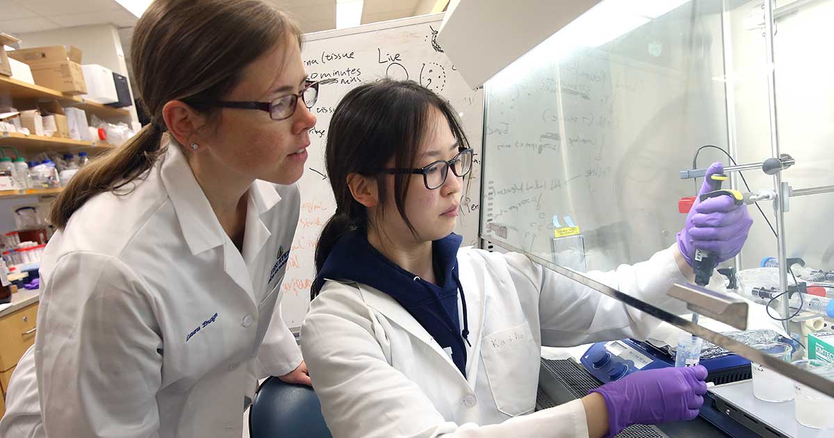 Two researchers seated next to a fume hood
