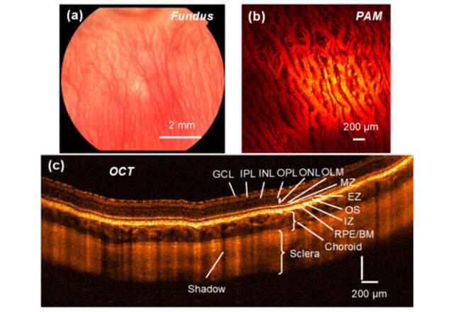 An image of research from Yannis Paulus.