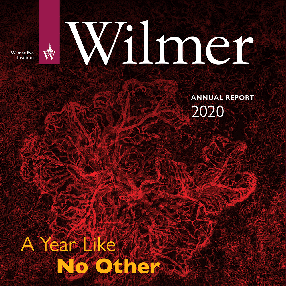 Cover of Annual Report 2020, showing bright red blood vessels. The headline reads a year like no other.