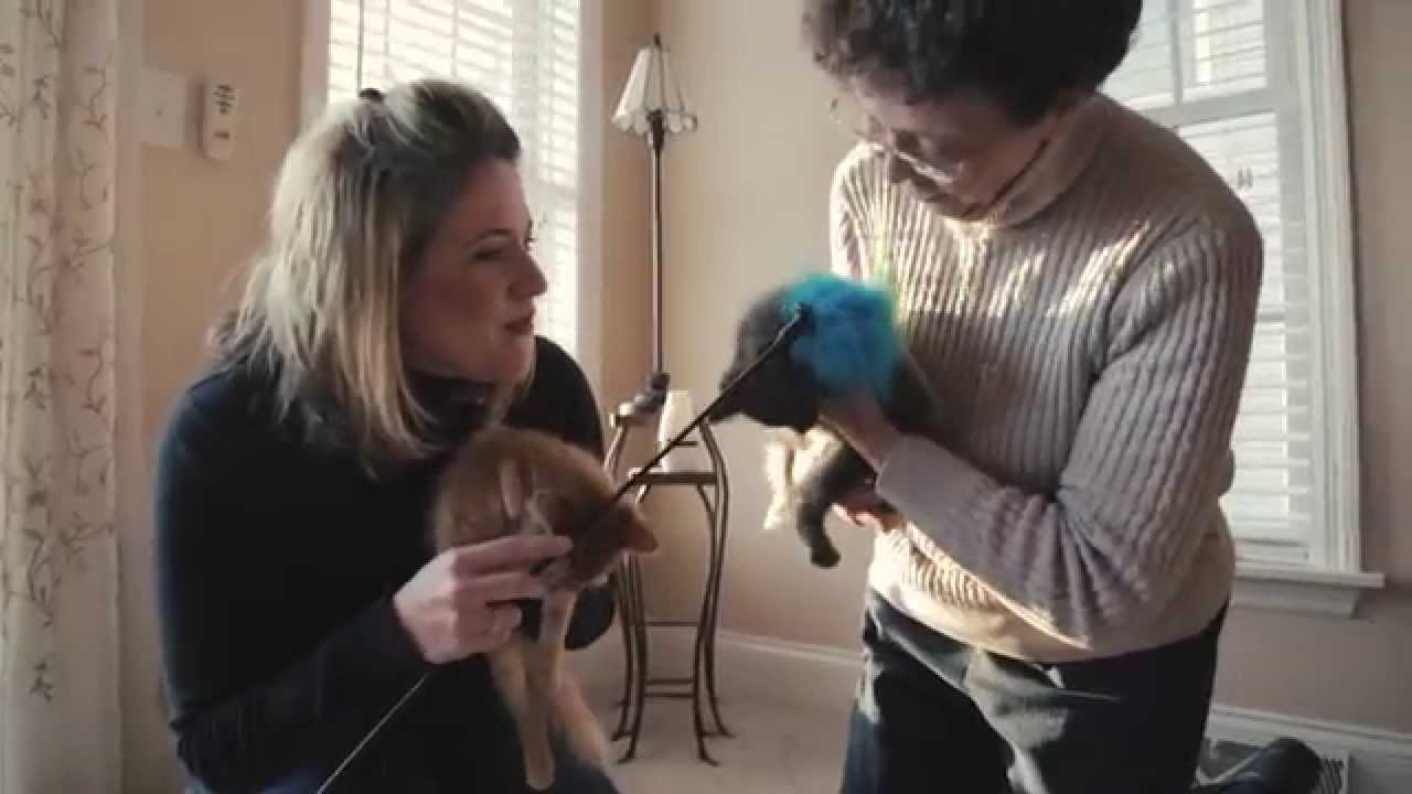 Bariatric Surgery  Julie and Barbaras Story