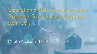 Generation of RateTuned Pacemaker Organoids from Human Pluripotent Stem Cells