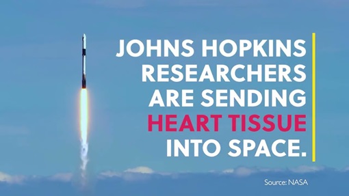 Heart Tissue Heads to Space  Johns Hopkins Medicine