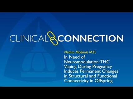 THC Vaping During Pregnancy Induces Changes in Structural and Functional Connectivity in Offspring