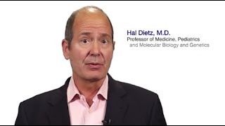 TomorrowsDiscoveries Therapy for Aortic AneurysmsDr Hal Dietz