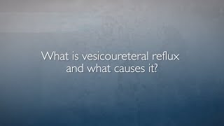 Vesicoureteral Reflux VUR  FAQ with Dr Heather Di Carlo