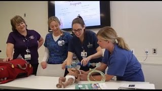 We Empower The Johns Hopkins Hospital Professional Practice Model for Nursing