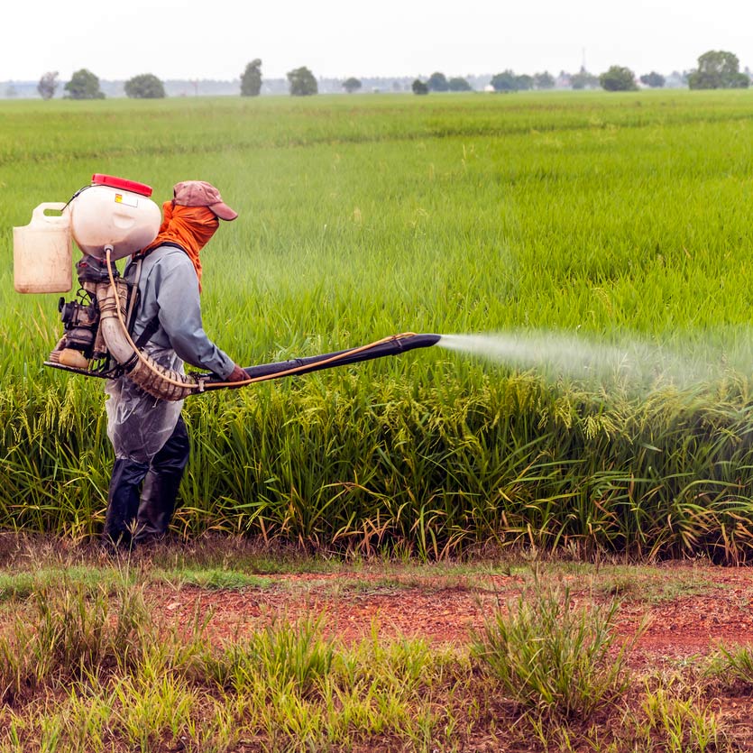 Farmer spraying pesticides on a field of crops