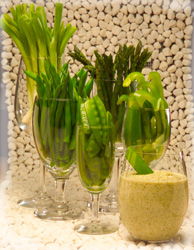 Various glasses holding different green vegetables