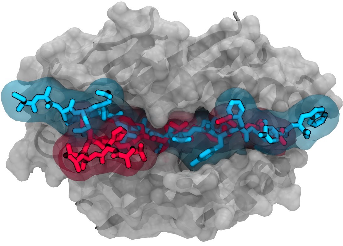 dna