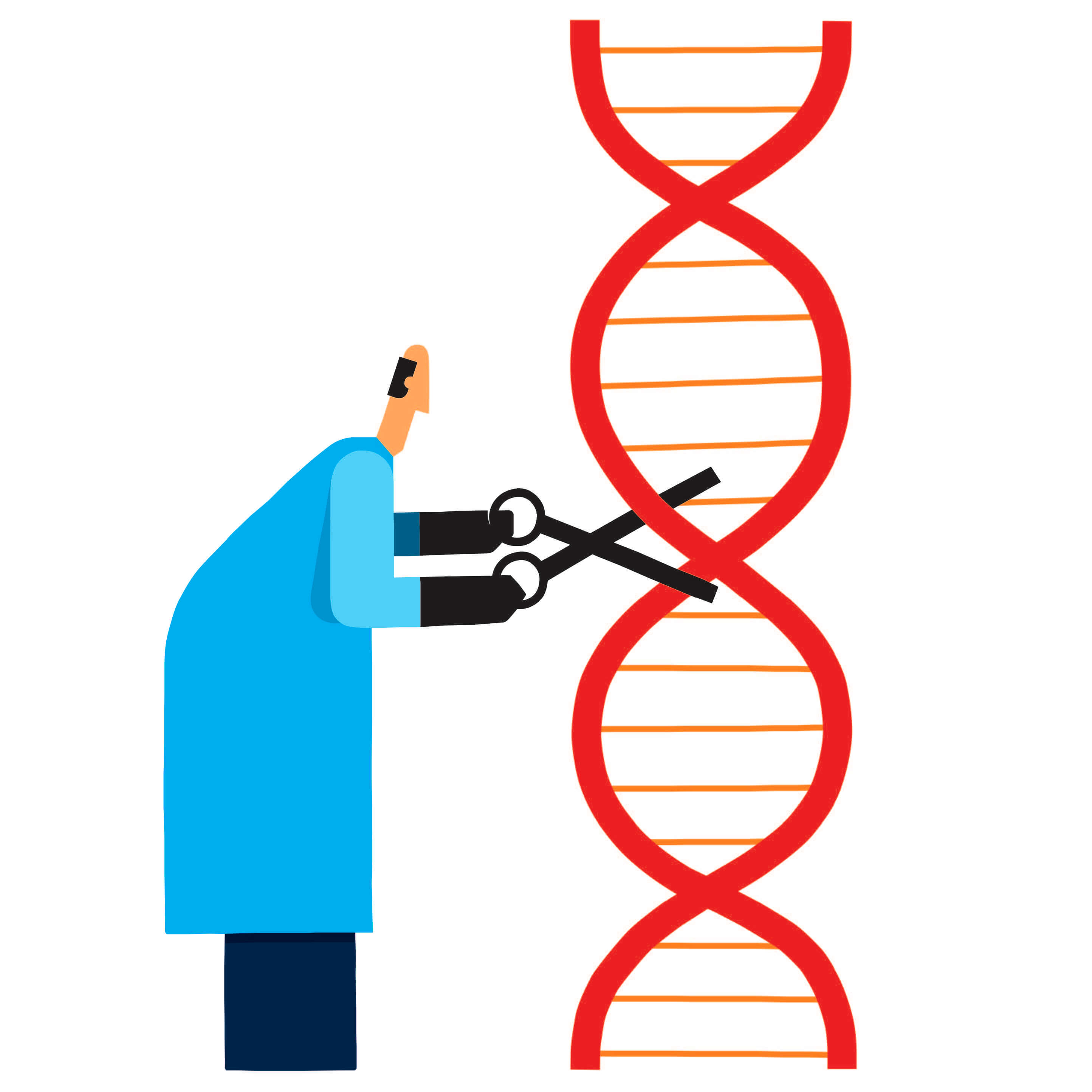 An illustration represents restriction enzymes. 