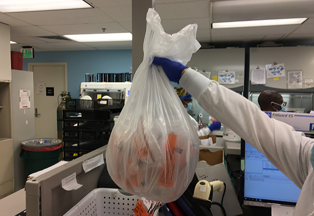 A lab worker holds up a bag full of COVID samples.