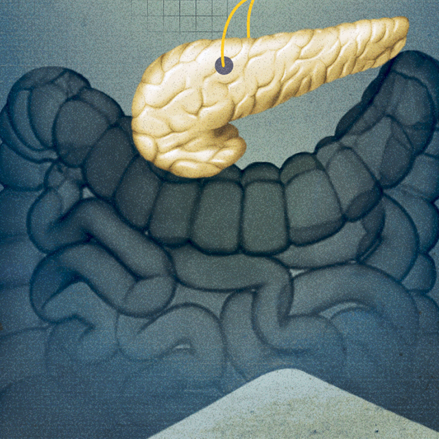 Pancreas