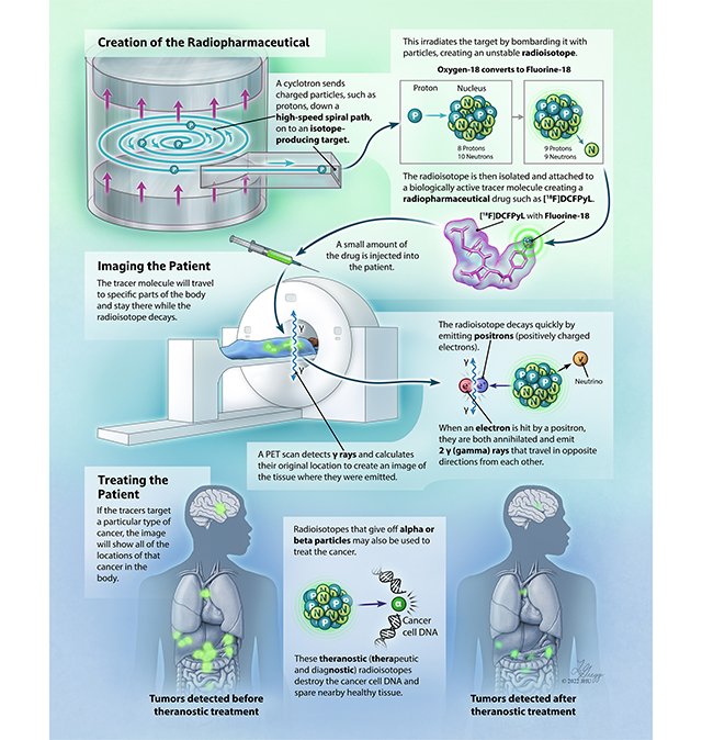 Pet Projects Infographic
