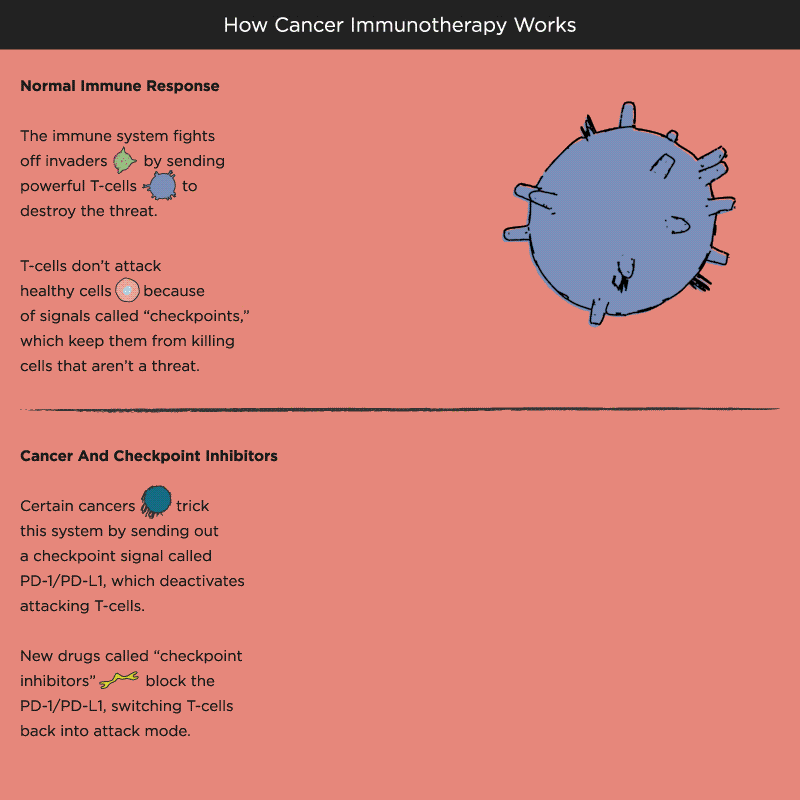 how immunotherapy works