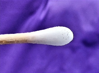 Theragrippers swab