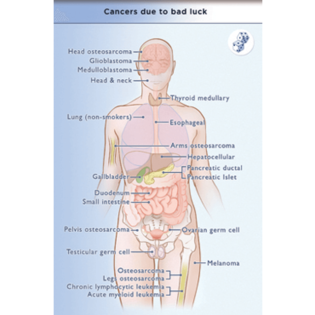 cancers due to bad luck