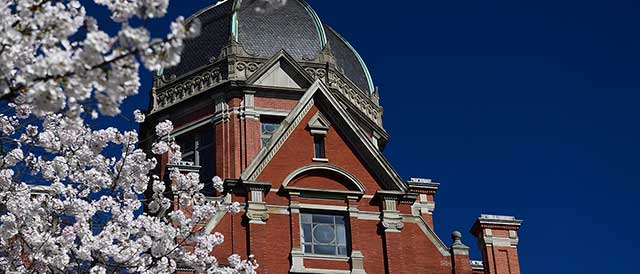 Hopkins dome building with bright cherry blossoms