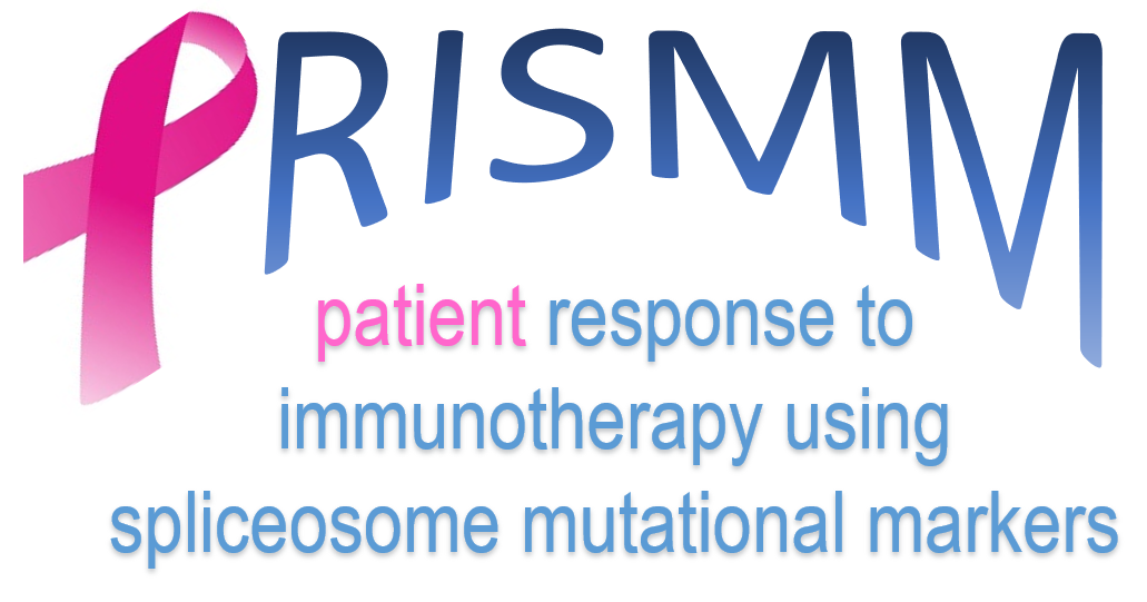 PRISMM logo