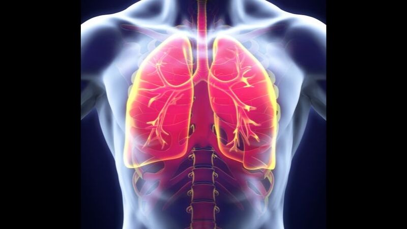 Newswise: Nanoparticles Wiggling Through Mucus May Predict Severe COPD